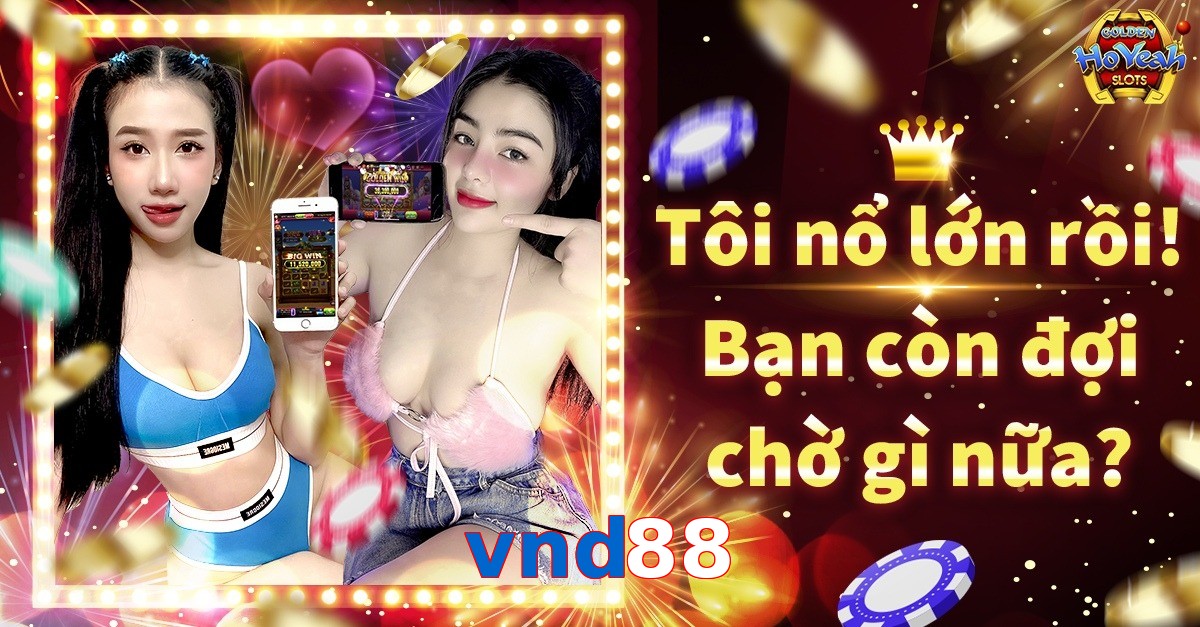 vnd88